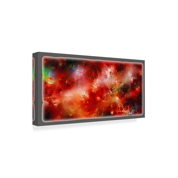 RUNA 'Cosmic Red 4' Canvas Art,16x32